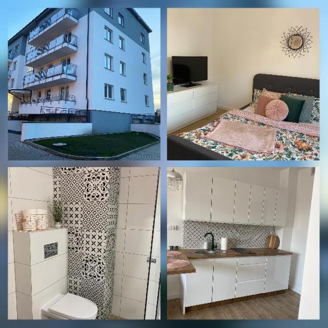 Apartament Sylwia سفينويتشي المظهر الخارجي الصورة
